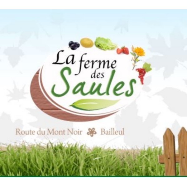 La Ferme des Saules - Mont Noir