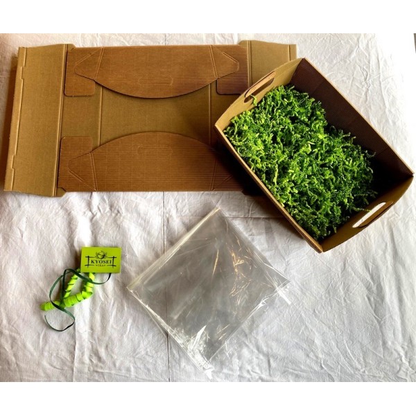 Kit complet pour réaliser un panier cadeau