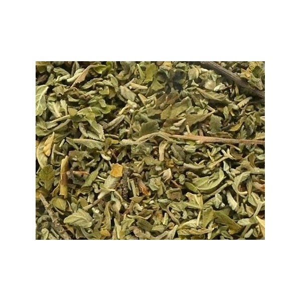 Infusion Damiana – Feuilles de Turnera diffusa | Kyosei Tea