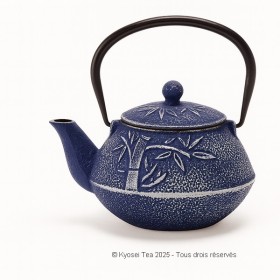Théière en fonte Huan - Kyosei Tea