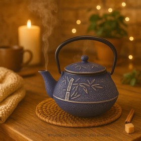 Présentation de la théière en fonte Huan - Kyosei Tea