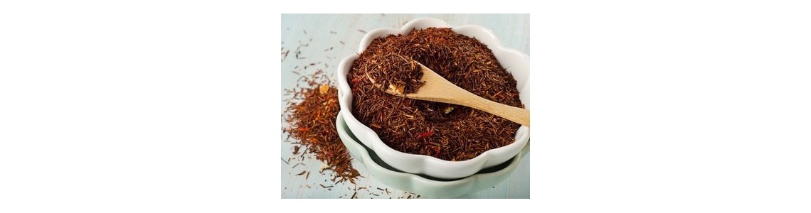 Le Rooibos (thé rouge)